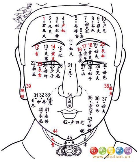 宜夫痣位置|面相